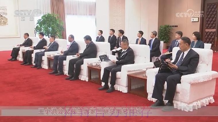 总局领导会见国际排球联合会主席